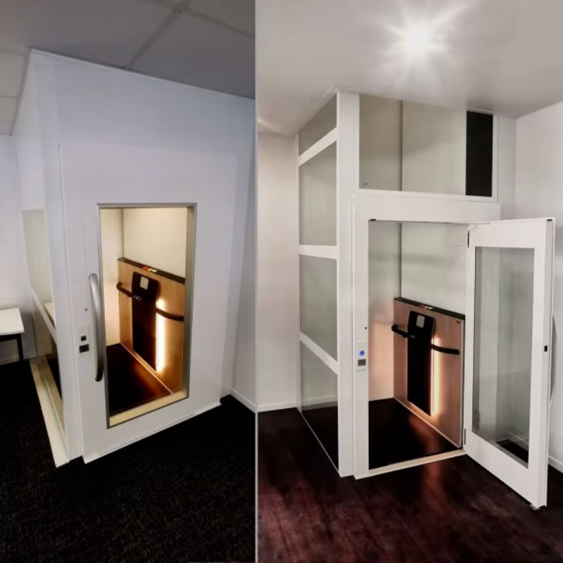 VTEV108 Ascensores Elevadores Aile Evi Kurulumu için Güvenli ve Güvenilir Villa Asansörü