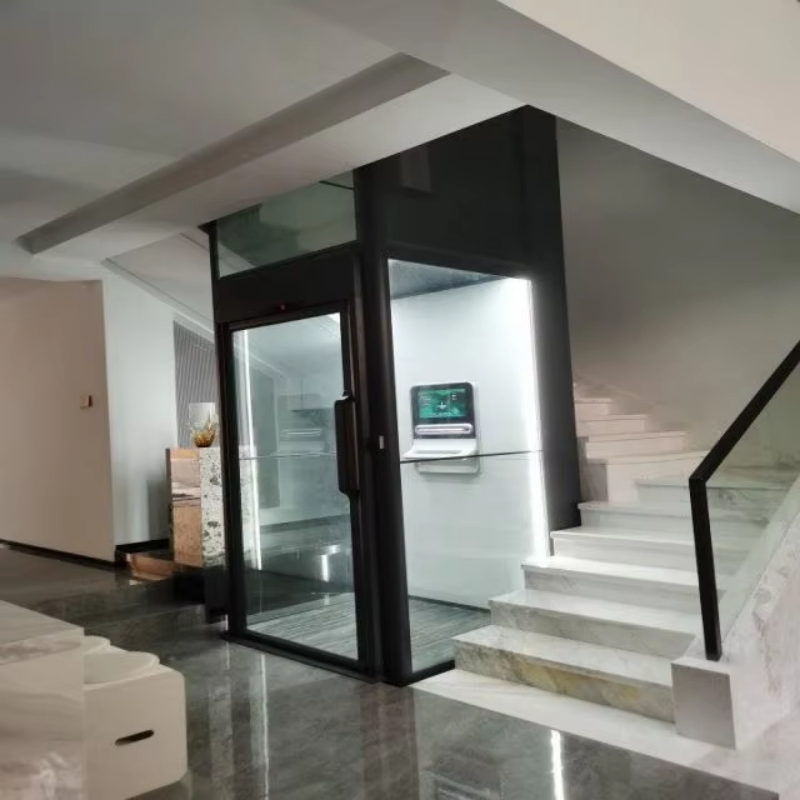 VTEV108 Ascensores Elevadores Aile Evi Kurulumu için Güvenli ve Güvenilir Villa Asansörü