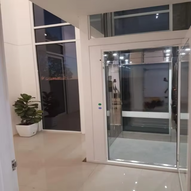 VTEV109 Ascensores Elevadores Özel Dubleks Ev için Şık Cam Villa Asansörü