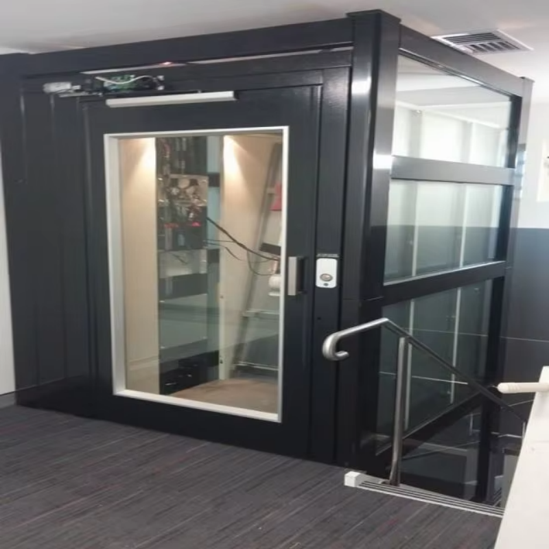 VTEV109 Ascensores Elevadores Özel Dubleks Ev için Şık Cam Villa Asansörü