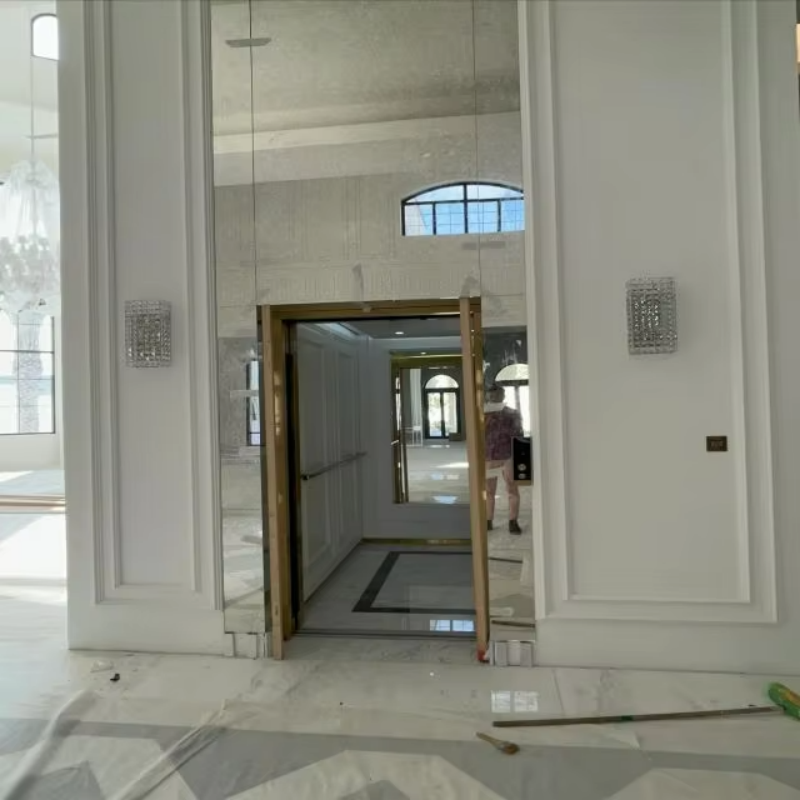 VTEV109 Ascensores Elevadores Özel Dubleks Ev için Şık Cam Villa Asansörü