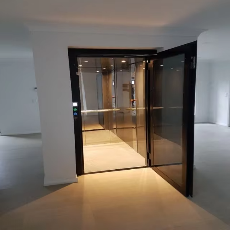 VTEV109 Ascensores Elevadores Özel Dubleks Ev için Şık Cam Villa Asansörü