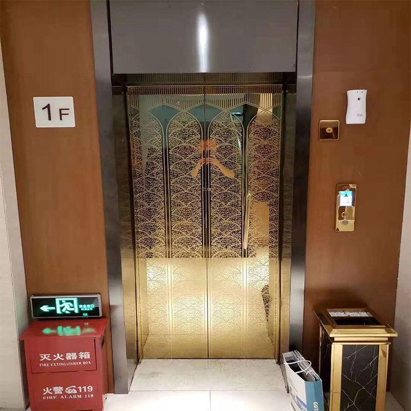 VTEO101 Ascensores Lüks Apartman ve Ofis Binaları için Şık Gözlem Asansörü