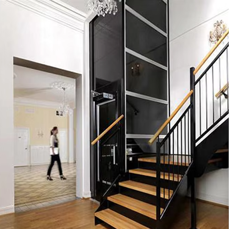 VTEV104 Ascensores Elevadores Aile Kullanımına Uygun Lüks Paslanmaz Çelik Villa Asansörü