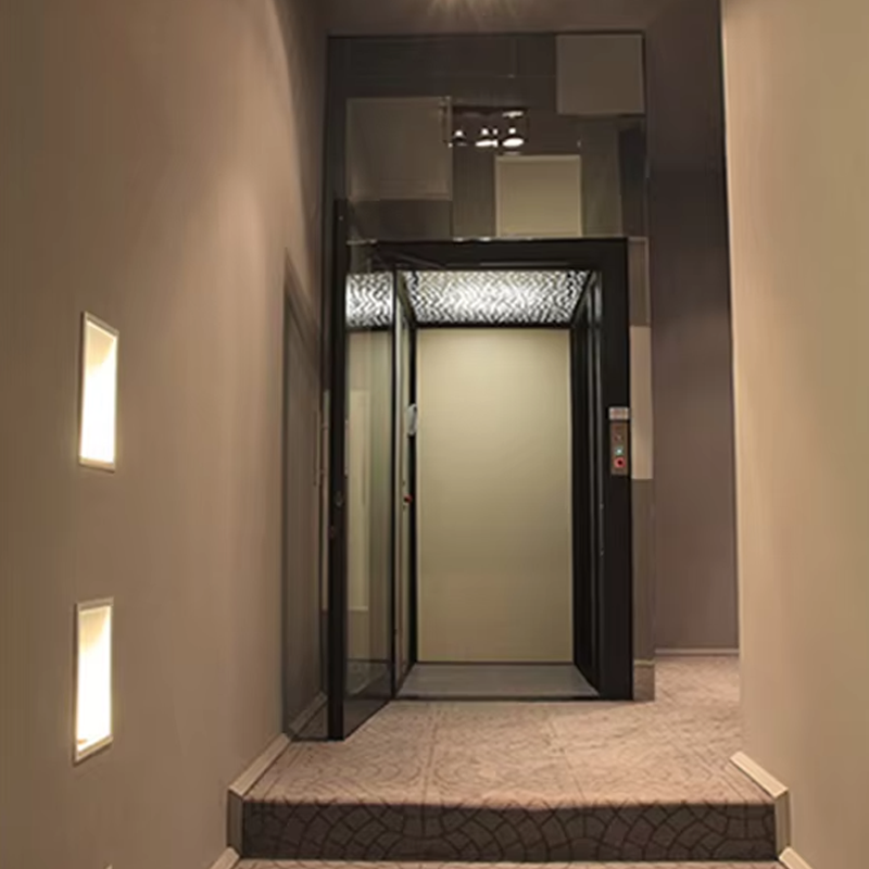 VTEV104 Ascensores Elevadores Aile Kullanımına Uygun Lüks Paslanmaz Çelik Villa Asansörü