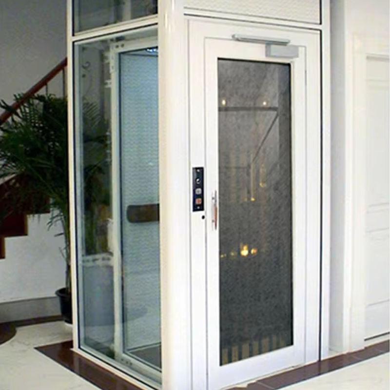VTEV105 Ascensores Elevadores İç Dekorasyon için Özelleştirilmiş Kabin Villa Asansörü