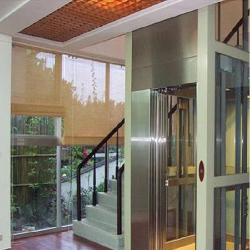 VTEV105 Ascensores Elevadores İç Dekorasyon için Özelleştirilmiş Kabin Villa Asansörü