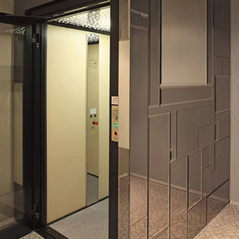 VTEV105 Ascensores Elevadores İç Dekorasyon için Özelleştirilmiş Kabin Villa Asansörü