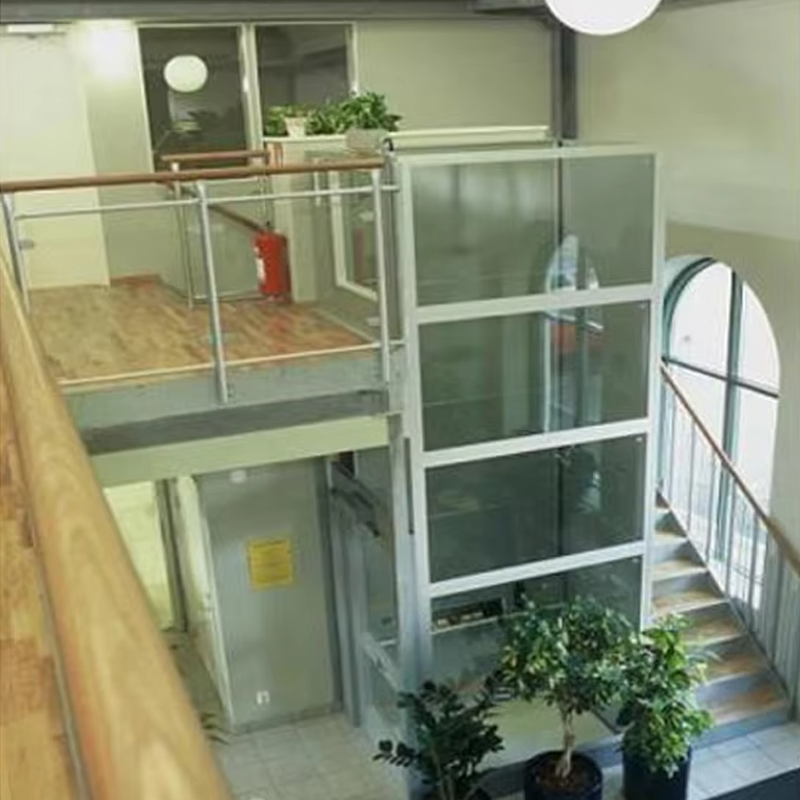 VTEV105 Ascensores Elevadores İç Dekorasyon için Özelleştirilmiş Kabin Villa Asansörü