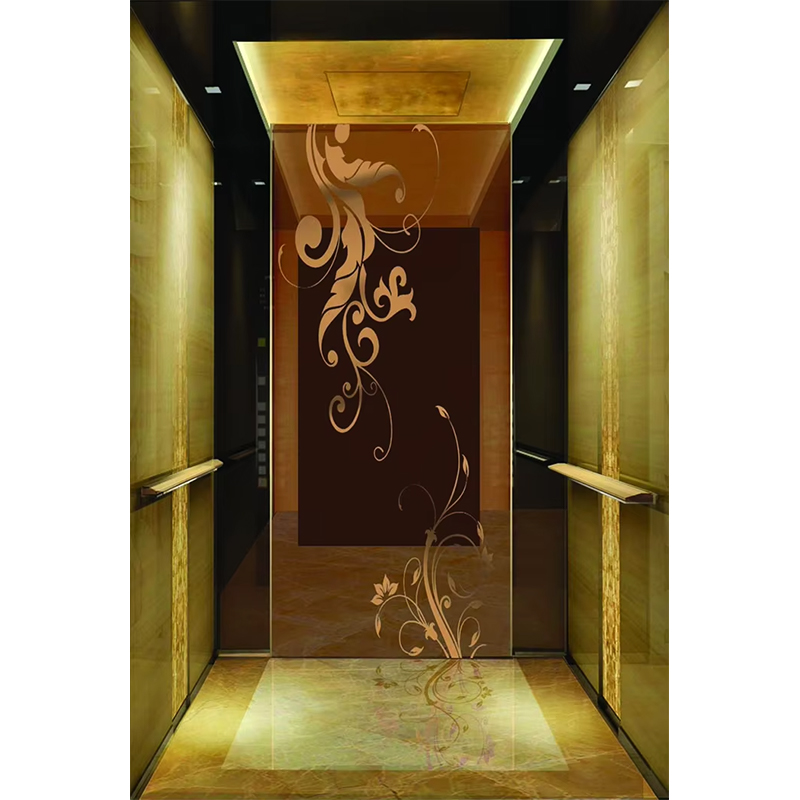 VTSP133 Premium Paslanmaz Çelik Çağdaş Tasarımlı Lüks Otel Asansör Kabini Özel Renk 1 Yıl Garanti