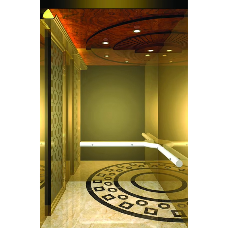 VTSP133 Premium Paslanmaz Çelik Çağdaş Tasarımlı Lüks Otel Asansör Kabini Özel Renk 1 Yıl Garanti