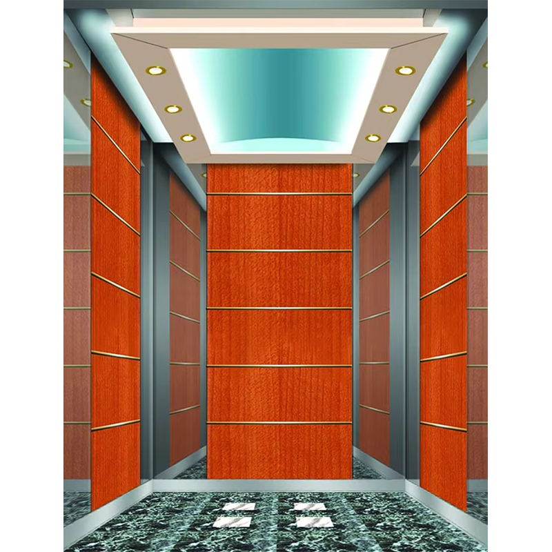 VTSP133 Premium Paslanmaz Çelik Çağdaş Tasarımlı Lüks Otel Asansör Kabini Özel Renk 1 Yıl Garanti