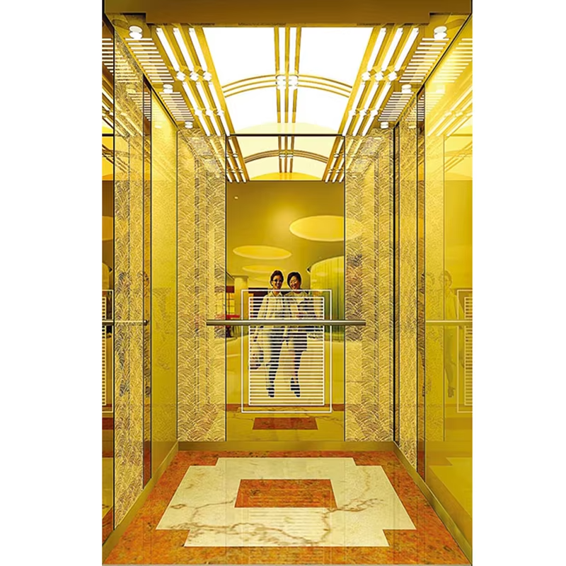 VTSP126 Asansör Parça ve Aksesuarları Modern İç Dekorasyonlu Yolcu Asansör Kabini